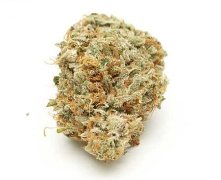 Kali Mist Strain - Sativa Dominant Hybrid (Wholesale)