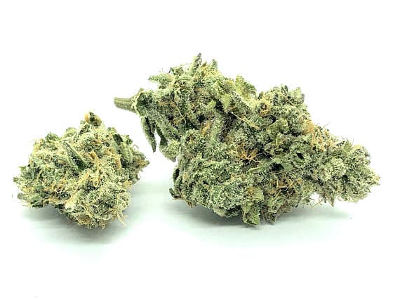 Wedding Crashers Strain Flower - Sativa Dominant Hybrid