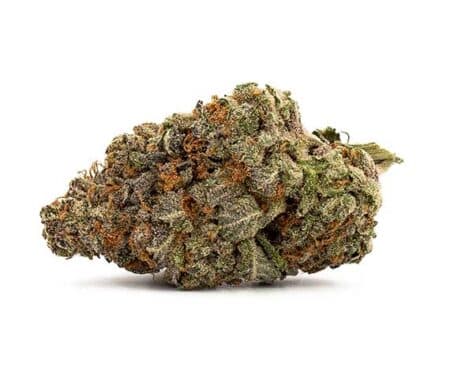 Mango Kush Strain - Indica Dominant Hybrid (Wholesale)