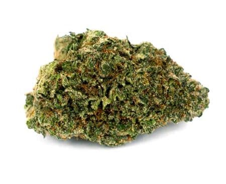 Lodi Dodi Strain - Sativa Dominant Hybrid (Wholesale)