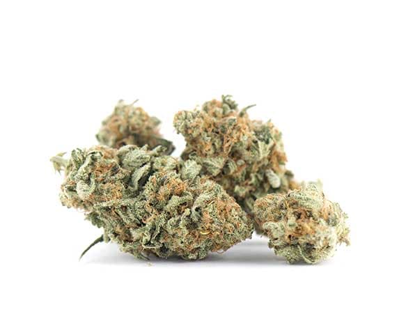 Strawberry Cough Strain - Sativa Dominant Hybrid (Wholesale)