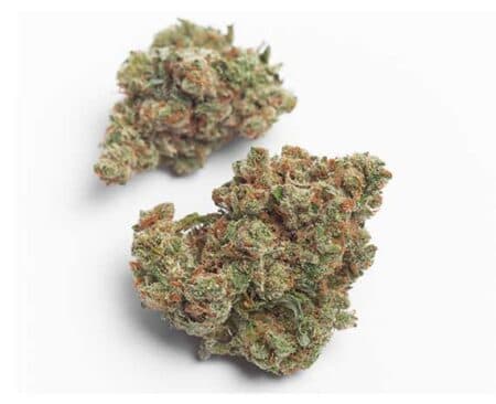 Mendo Breath Strain - Indica Dominant Hybrid (Wholesale)