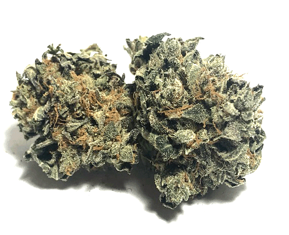 Green Dream Strain - Hybrid (Wholesale)