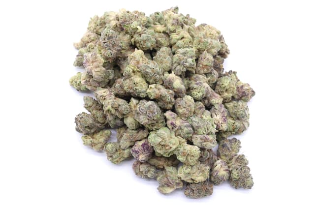 Sour Cookies Strain Small Buds - Sativa Dominant Hybrid