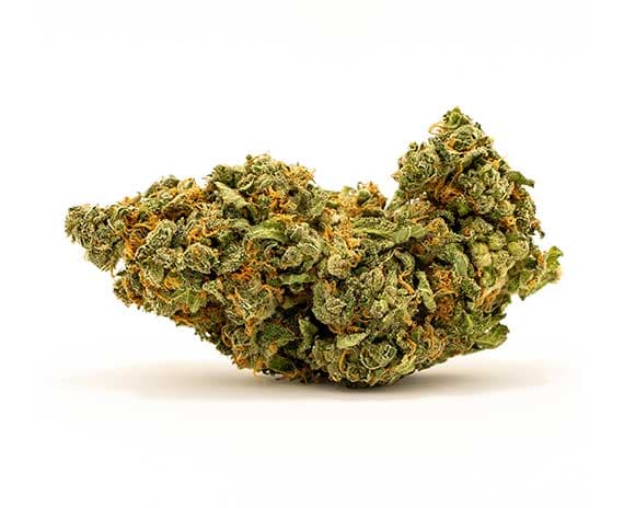 Master Kush Strain - Indica Dominant Hybrid (Wholesale)