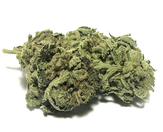 Chem Fruit Strain - Hybrid (Wholesale)