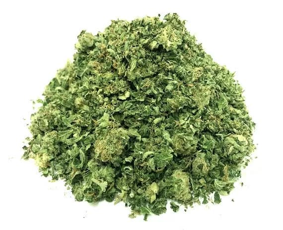 King Tut Strain - Premium Grade Shake
