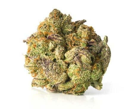 Presidential OG Strain - Indica (Wholesale)