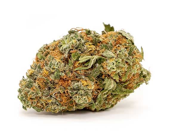 Northern Lights Strain - Indica (Wholesale)