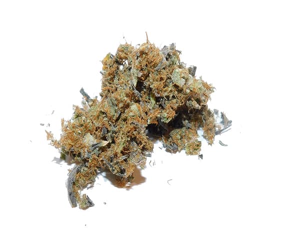 Wifi Mints Strain Premium Shake