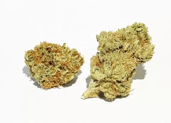 Wifi OG Strain Flower - Sativa Dominant Hybrid