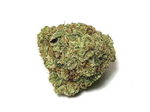 G13 Strain - Indica Dominant Hybrid (Wholesale)