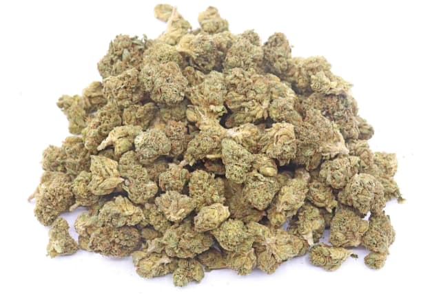 White Death Strain Small Buds - Indica Dominant Hybrid
