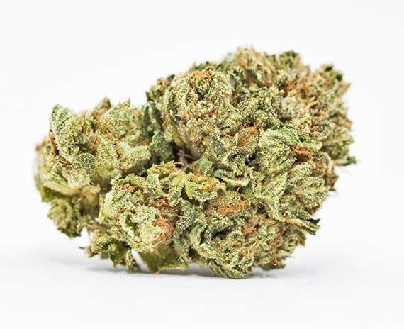 Platinum Cookies Strain - Hybrid (Wholesale)