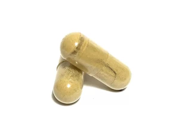 100mg Psilocybin/25mg Pure CBD Isolate/100mg Cordyceps Capsules