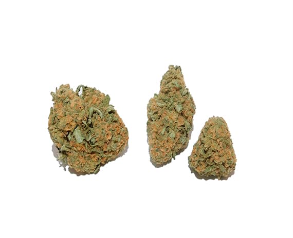 Red Congolese Strain Flower - Sativa