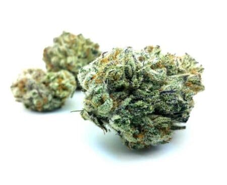 Green Crack Strain - Sativa Dominant Hybrid (Wholesale)