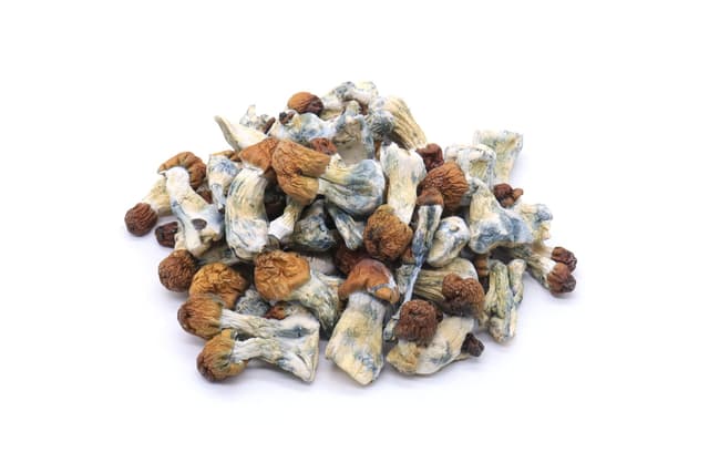 Vietnamese Mushrooms