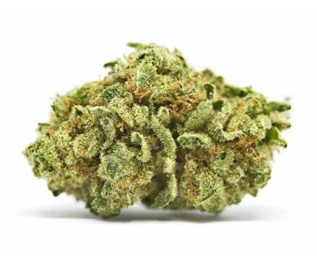 Lemonder Strain - Sativa Dominant Hybrid (Wholesale)