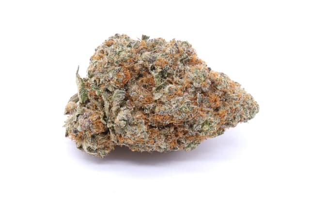 Red Congolese Strain Flower - Sativa