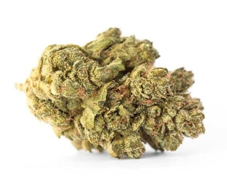 Durban Poison Strain - Sativa (Wholesale)