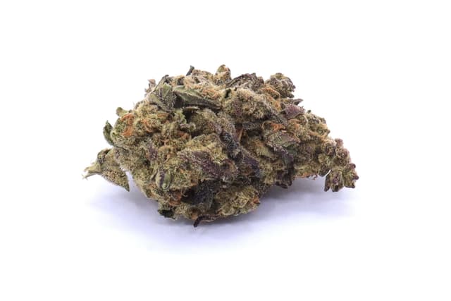 Crescendo Strain Flower - Sativa Dominant Hybrid