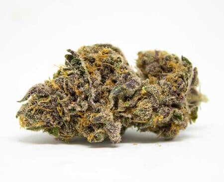 William's Wonder Strain - Hybrid (Wholesale)