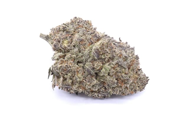 Sherblato Strain Flower - Sativa Dominant Hybrid